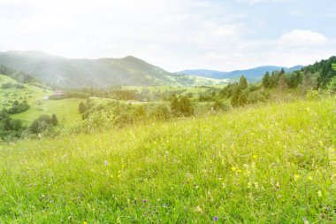 Karpat Dağları 'nın çok güzel bir geçmişi var.