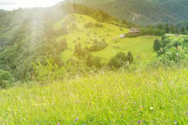 Karpat Dağları 'nın çok güzel bir geçmişi var.