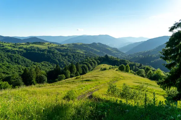 Karpat Dağları 'nın çok güzel bir geçmişi var.