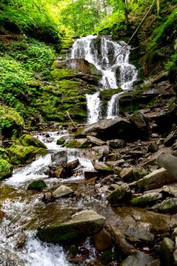 Karpat Dağlarında Şelale Shepit