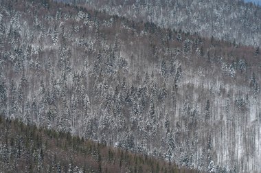 Üçgen geometrisi olan kış dağı arkaplanı