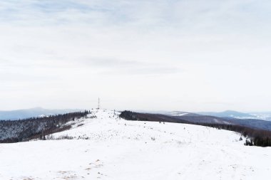 Karpatya dağlarında karla kaplı bir manzara.