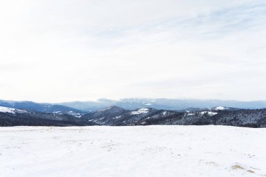 Karpatya dağlarında karla kaplı bir manzara.