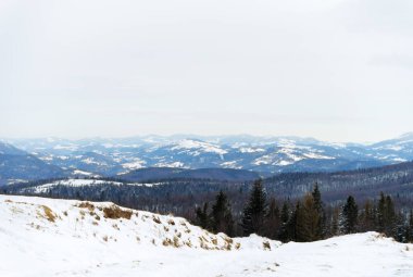 Karpatya dağlarında karla kaplı bir manzara.