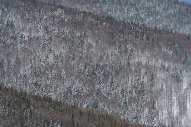 Üçgen geometrisi olan kış dağı arkaplanı