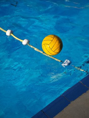 Su yüzeyinde sarı su topu var.