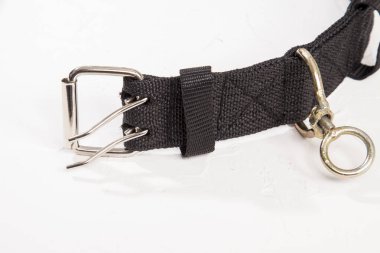 Tasma normalde köpeğini gezdirmek için kullanılır..