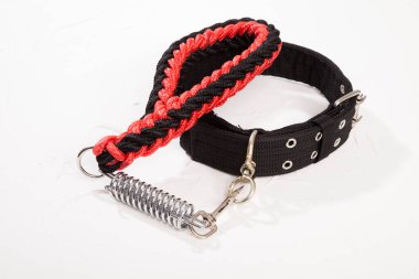 Tasma normalde köpeğini gezdirmek için kullanılır..
