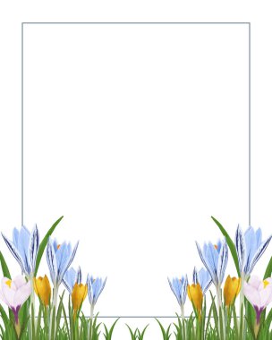 Suluboya renkli timsahlı vektör tebrik kartı