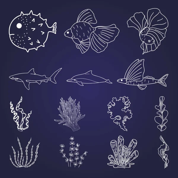 Linear Doodle Drawing Sea Fish Seaweed — Stock Vector