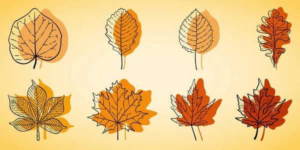 Установить Осенний Линейный Ручной Рисунок Желтыми Оранжевыми Листьями — стоковый вектор