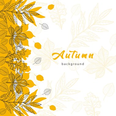 Sonbahar turuncu tilkilerinin dikey vektör sınırı