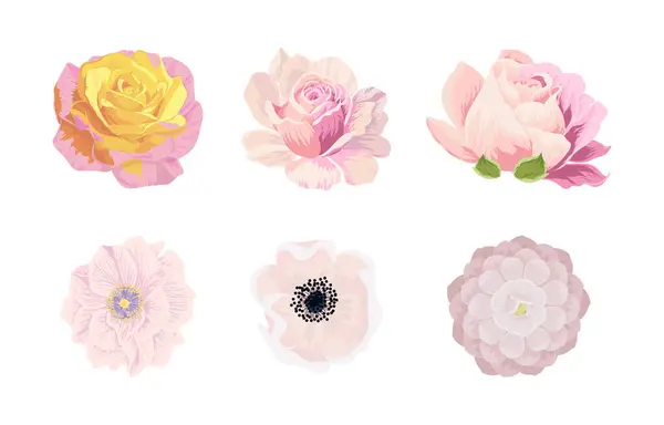 Vector set with beige flowers,pink roses