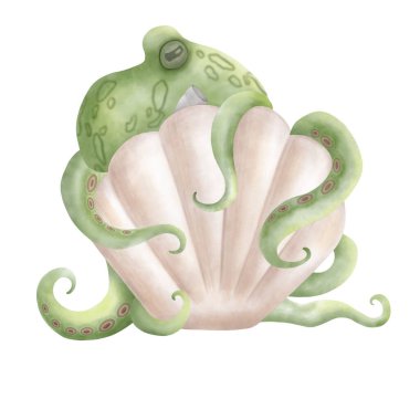 Kabuklu bir ahtapotun suluboya çizimi. Duvar kağıtları, kumaş baskıları, dövmeler, kartpostallar için.