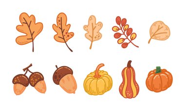 Sarı, portakal yaprakları, balkabağı hasadı, lezzetli balkabakları.