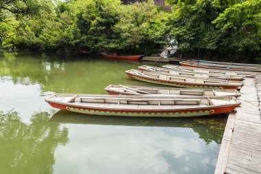 Donko, geleneksel sandık teknesi, Yanagawa, Fukuoka, Japonya 'da park halinde.