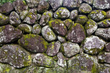 Eski yosun kaplı kaya duvar dokusu.