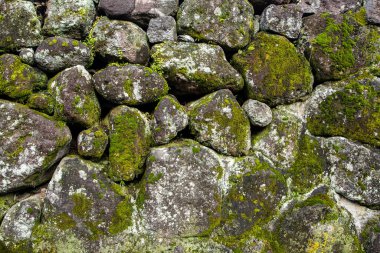 Eski yosun kaplı taş duvar dokusu.