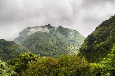 Kumamoto, Japonya 'daki Unzen Dağı yürüyüş yolunun tepesinde.