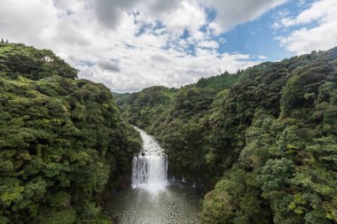 Kamikawa Otaki Şelalesi ve Kagoshima, Kyushu, Japonya 'daki yeşil orman..