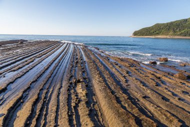 Phoenix 'ten Nichinan kıyı şeridi, Miyazaki, Kyushu, Japonya' da görüş açısı.