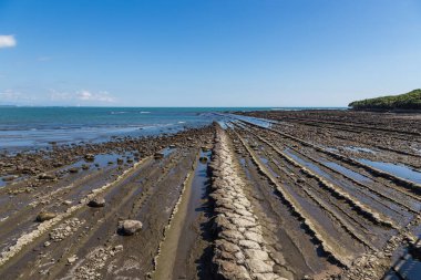 Japonya, Miyazaki 'deki Aoshima Adası' ndaki Devil 's Washboard sahili.