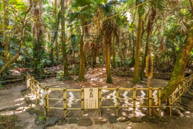 Aoshima, JAPONYA - 27 Ağustos 2015 'te insanlar Aoshima Adası' ndaki bir tapınağa kil tabağı attılar.