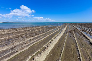 Japonya, Miyazaki 'deki Aoshima Adası' ndaki Devil 's Washboard sahili.