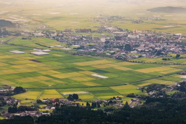 Japonya 'nın Kumamoto kentindeki Aso köyünde yeşil pirinç tarlası..