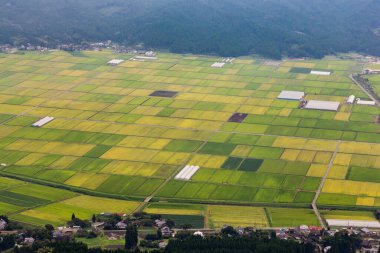 Japonya 'nın Kumamoto şehrinde tarım ve Aso Volkanı.