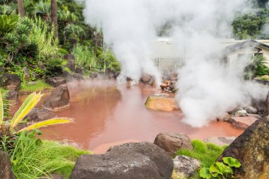 umi jigoku kaplıcası Beppu, Kyushu, Japonya 'da