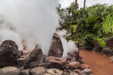 umi jigoku kaplıcası Beppu, Kyushu, Japonya 'da