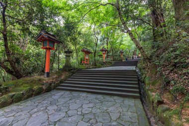 Usa Jingu Tapınağı 'ndaki Red Tori, Oita, Japonya.