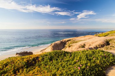 Sunny La Jolla Koyu Sahili, San Diego, Kaliforniya
