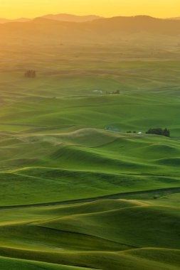 Beautiful landscape of crop field in Palouse in the morning, Washington, USA clipart