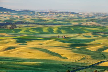 Sabahları Washington, Palouse 'da güzel bir kırsal alanda kırmızı ahır..