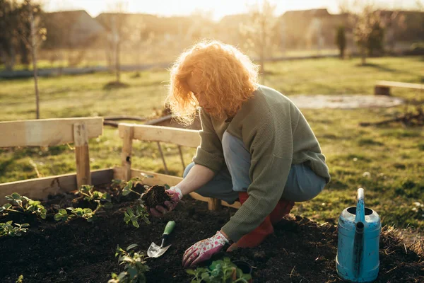 Žena Dává Rostliny Půdy — Stock fotografie