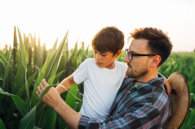 Baba ve oğul mısır tarlalarında mısır yetiştirmeyi öğreniyorlar.