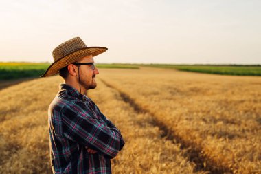 Çiftçi buğday tarlasına gururla bakar.