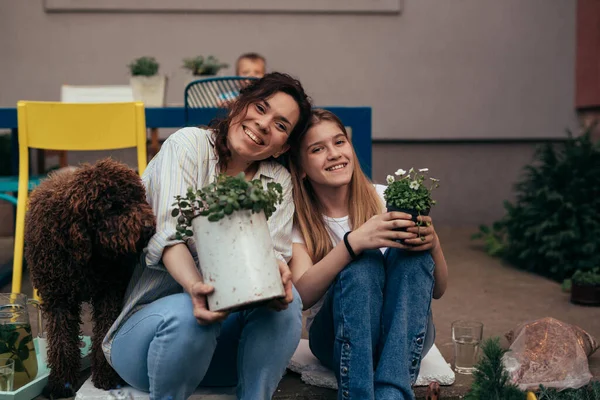 stock image Happy family is planting flowers in the garden