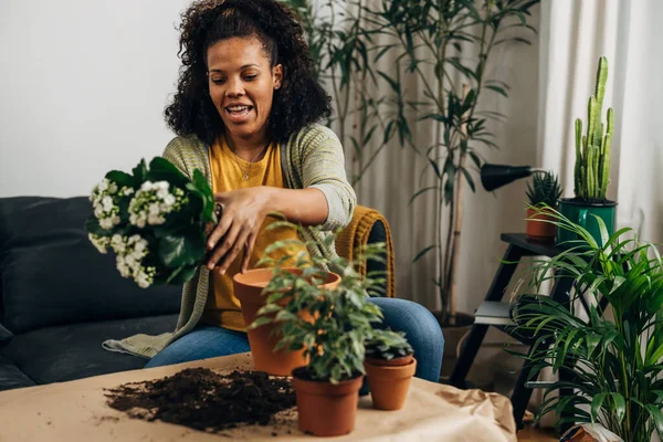 A woman sits at home and picks up a plant before planting it