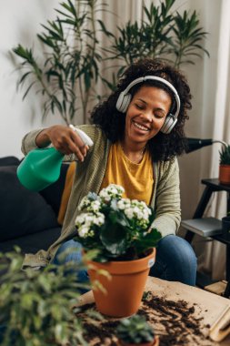 Mutlu çiçekçi ev bitkilerini nemlendirmek için sprey kullanıyor.