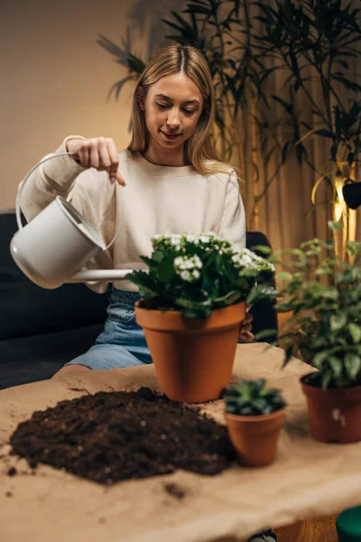 stock image A blonde woman waters a houseplant