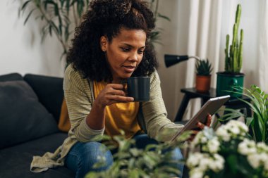 Karışık ırktan bir kadın sıcak içecek içer ve tablet kullanır.