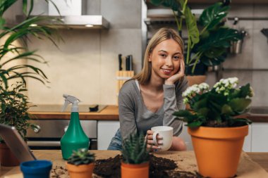 Beyaz bir çiçekçi kahve molası vermiş.