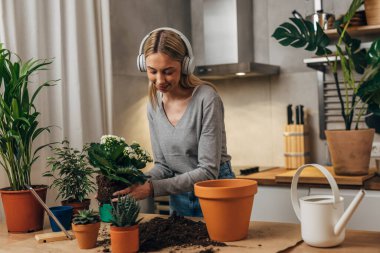 Genç bir Kafkasyalı 'nın küçük bir çiçek dükkanı var.