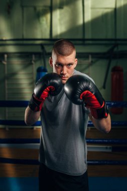 Beyaz bir boksör koruma pozisyonunda durup kameraya bakar.