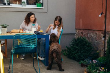 Anne ve kızı bahçede kahvaltı yapıyor ve köpeğe de biraz veriyor.