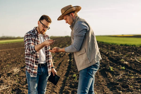 Two Caucasian Farmers Checking Soil Quality Field Together — Stock Photo, Image