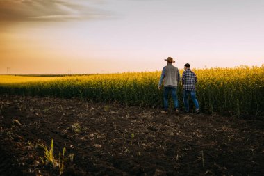 Tarlalarında yürüyen iki çiftçinin arka görüntüsü.